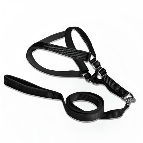 Nylon Premium Dog Harness Padded Leash Set-Stylish Size 10X7X5 Cm